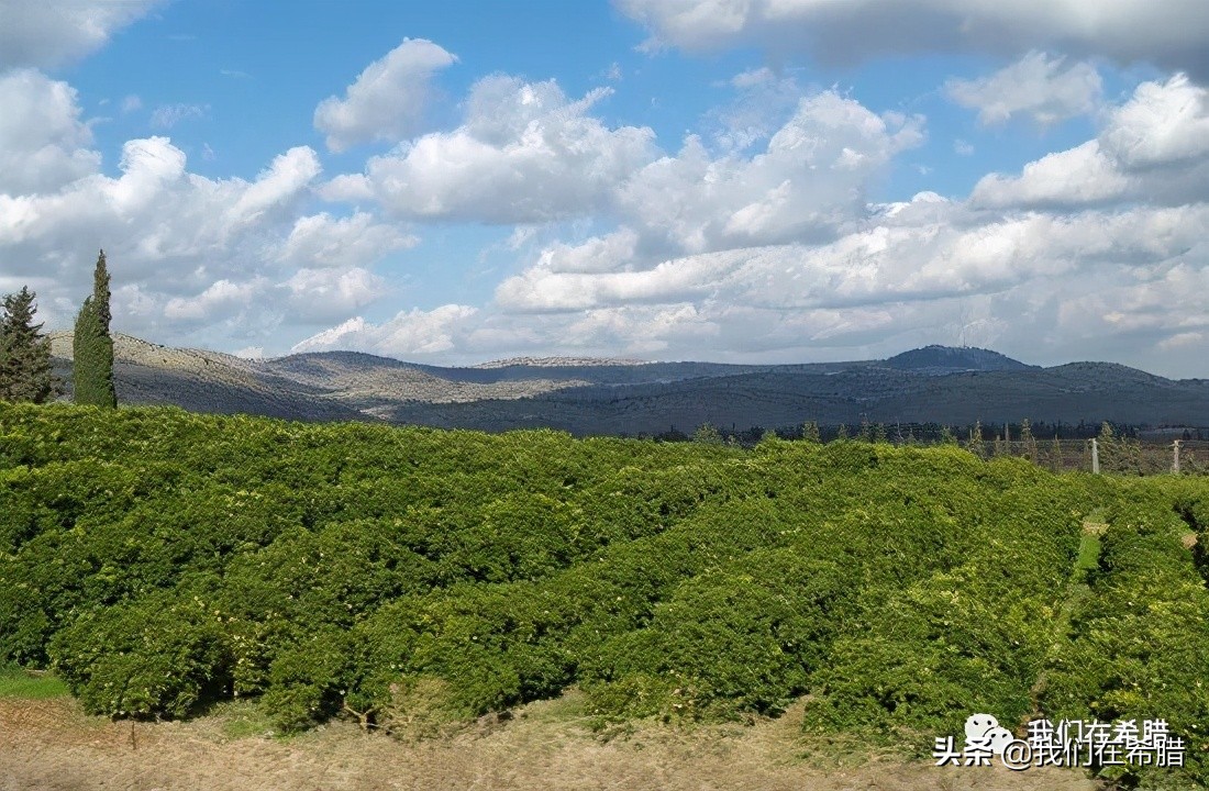 希腊海边土地价格,希腊土地多少钱一亩