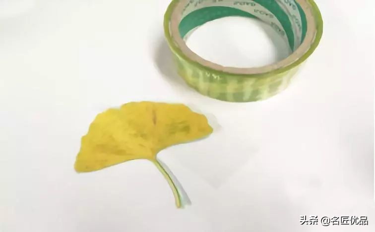 超惊艳的树叶手工,有趣的树叶手工制作