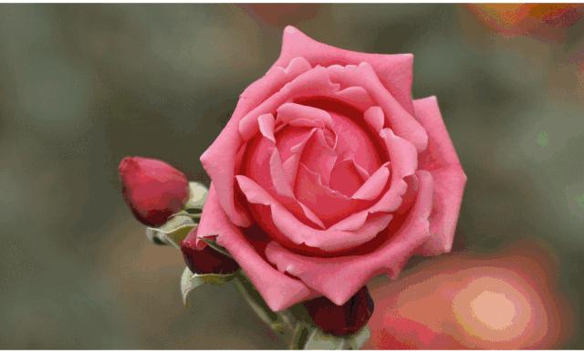 朋友相遇要珍惜愿我们的友谊永久,友谊天长地久且行且珍惜