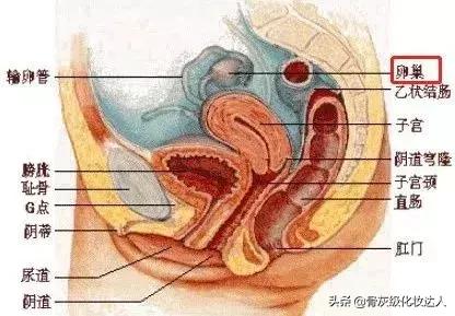 深扒小红书！灌肤、微针美白、换血，请问你不怕死吗？！