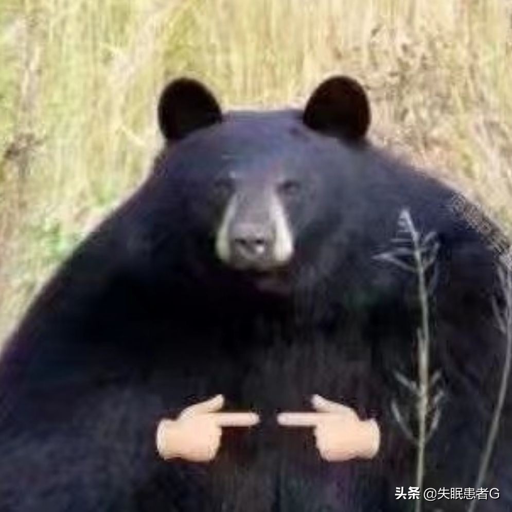 微头条怎么提高创作收益,微头条怎么提高收益最大化