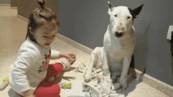 最惹人讨厌的狗狗品种,有哪些奇怪的狗狗品种