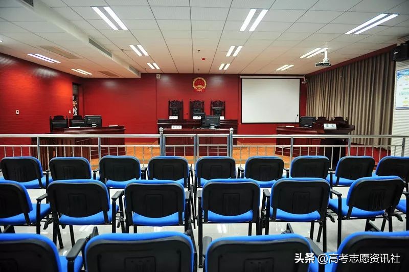 法学就业率低为什么还是热门专业,法学就业率为什么这么低