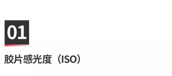 胶片机推荐自带胶卷,冷门又好用的胶片机