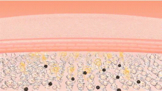 羊奶补水沐浴乳,羊奶美白沐浴露