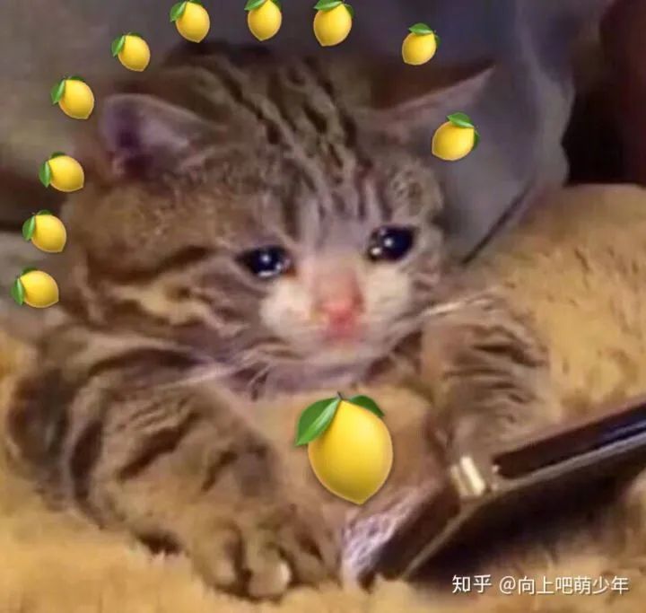 人为什么要努力呢你问过你自己吗,你问我为什么要努力我只能靠自己