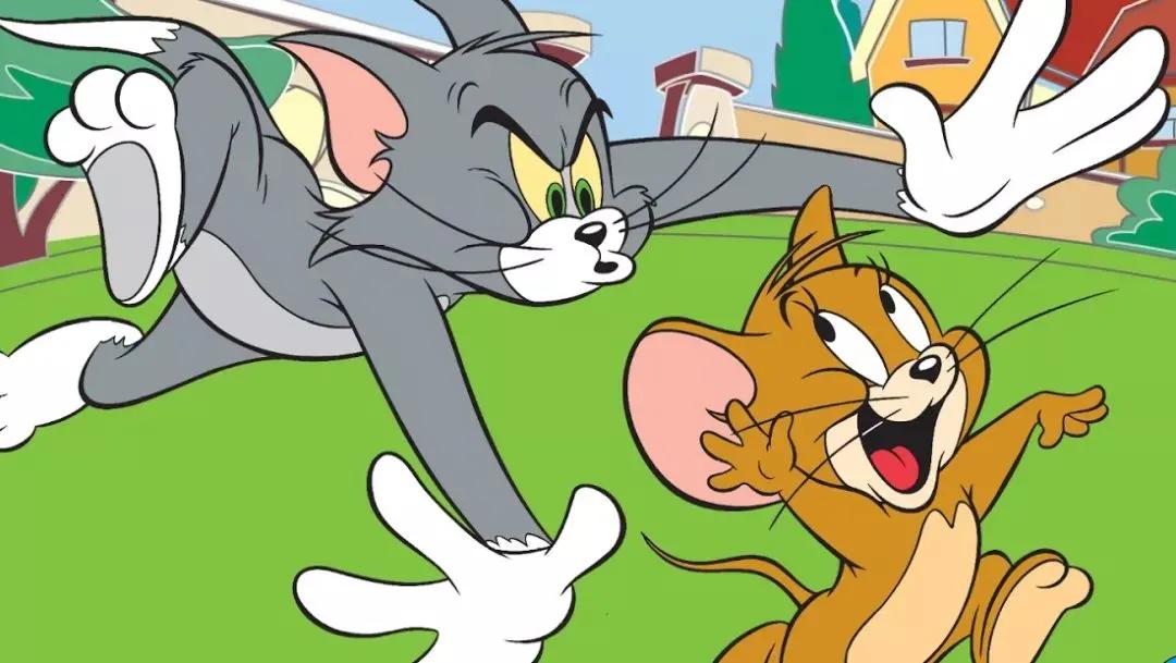 猫抓住老鼠后为什么老鼠放弃抵抗,猫抓了老鼠为什么喜欢玩