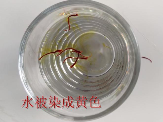 红花和西红花图片对比,红花与西红花区别图表