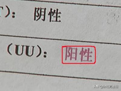 原来支原体、衣原体是这么回事！