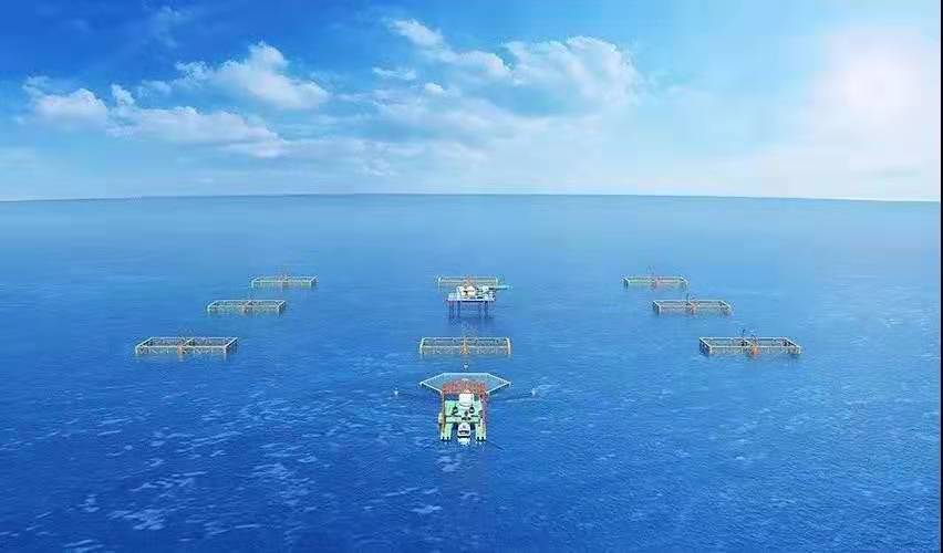 蓝色经济史话,蓝色经济的告捷案例