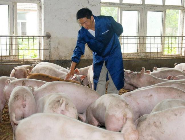 养殖兽药购买技巧和方法,在网上购买低价兽药靠不靠谱