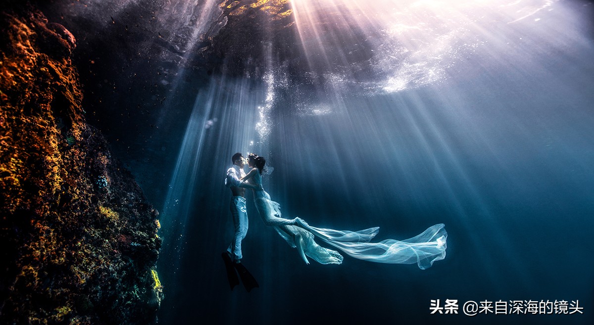 水下拍摄都用什么,水下摄影一般都用什么相机