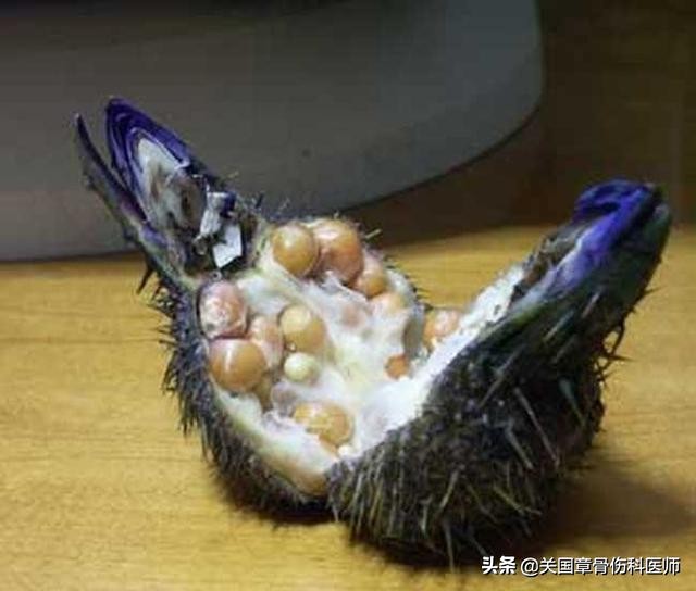 芡实枸杞人参泡水喝的功效与功能,芡实跟什么煮对脾胃好
