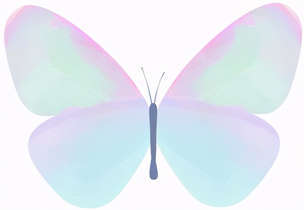 轻食真的有营养吗,轻食真的能够减肥吗