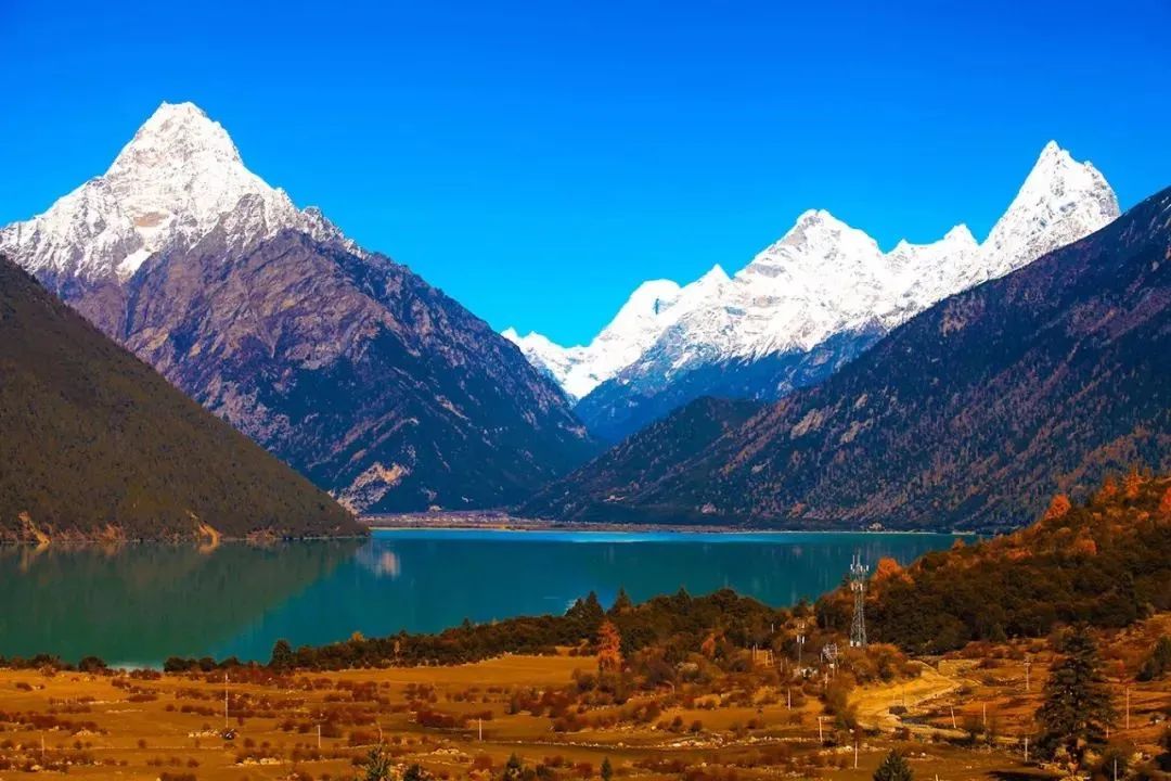 1011月错过它们，等于错过整个秋天！人少清净，随手一拍都是大片