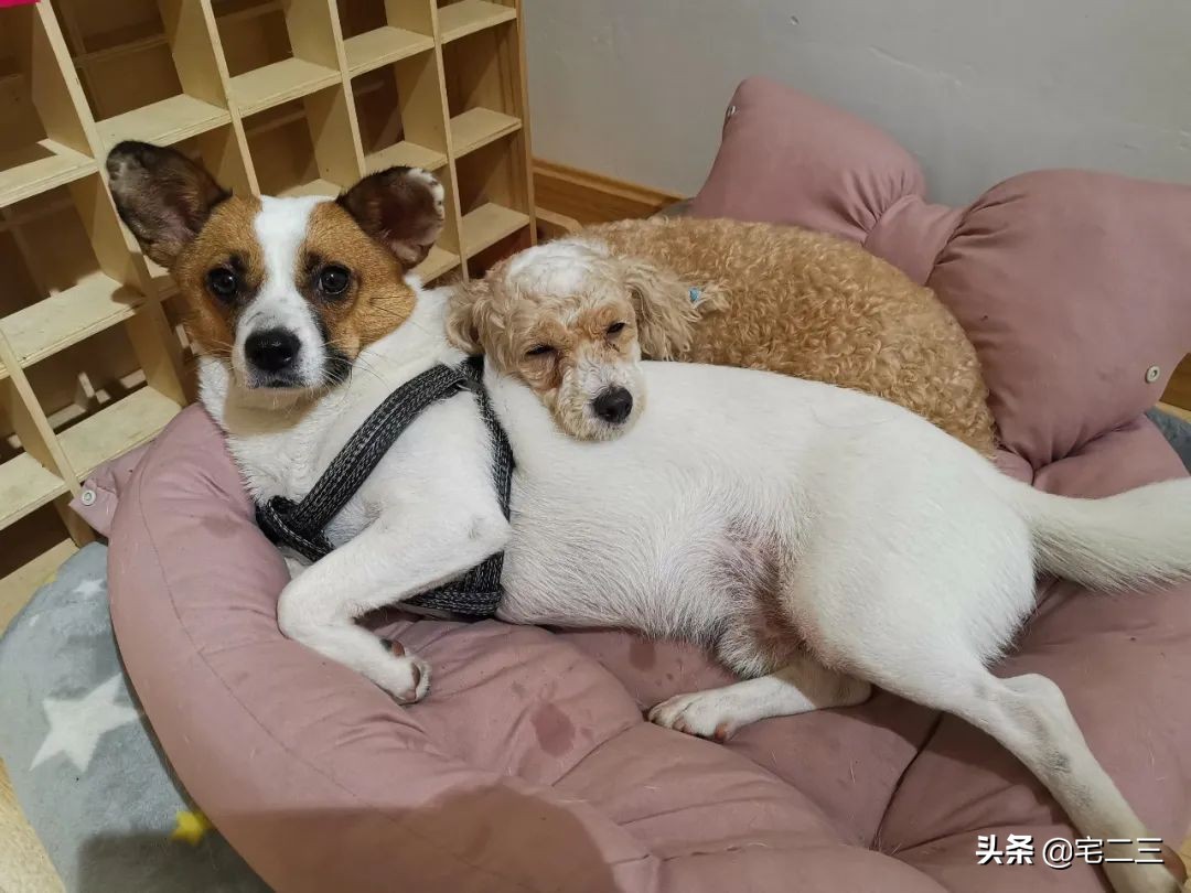 嗜好旧物的90后，用柔软的心构建家中岁月感