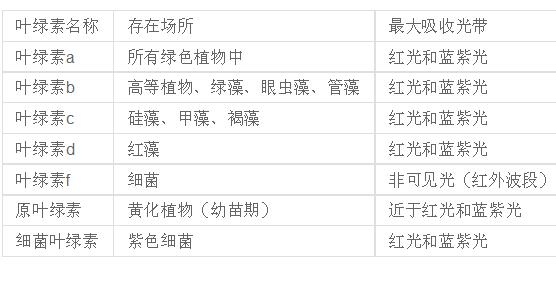 led灯和全光谱灯哪个合适水草,全光谱的led更合适水草吗
