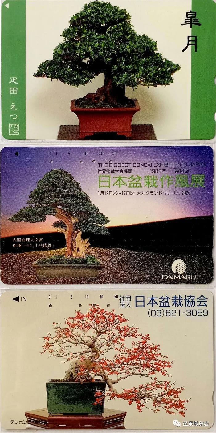 鐩嗘櫙鑱旂郴鐢佃瘽,鐩嗘櫙鑱旂郴鐢佃瘽鍙风爜