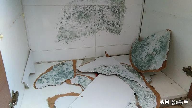 发霉的霉菌100度能杀死吗,发霉的霉菌最怕什么