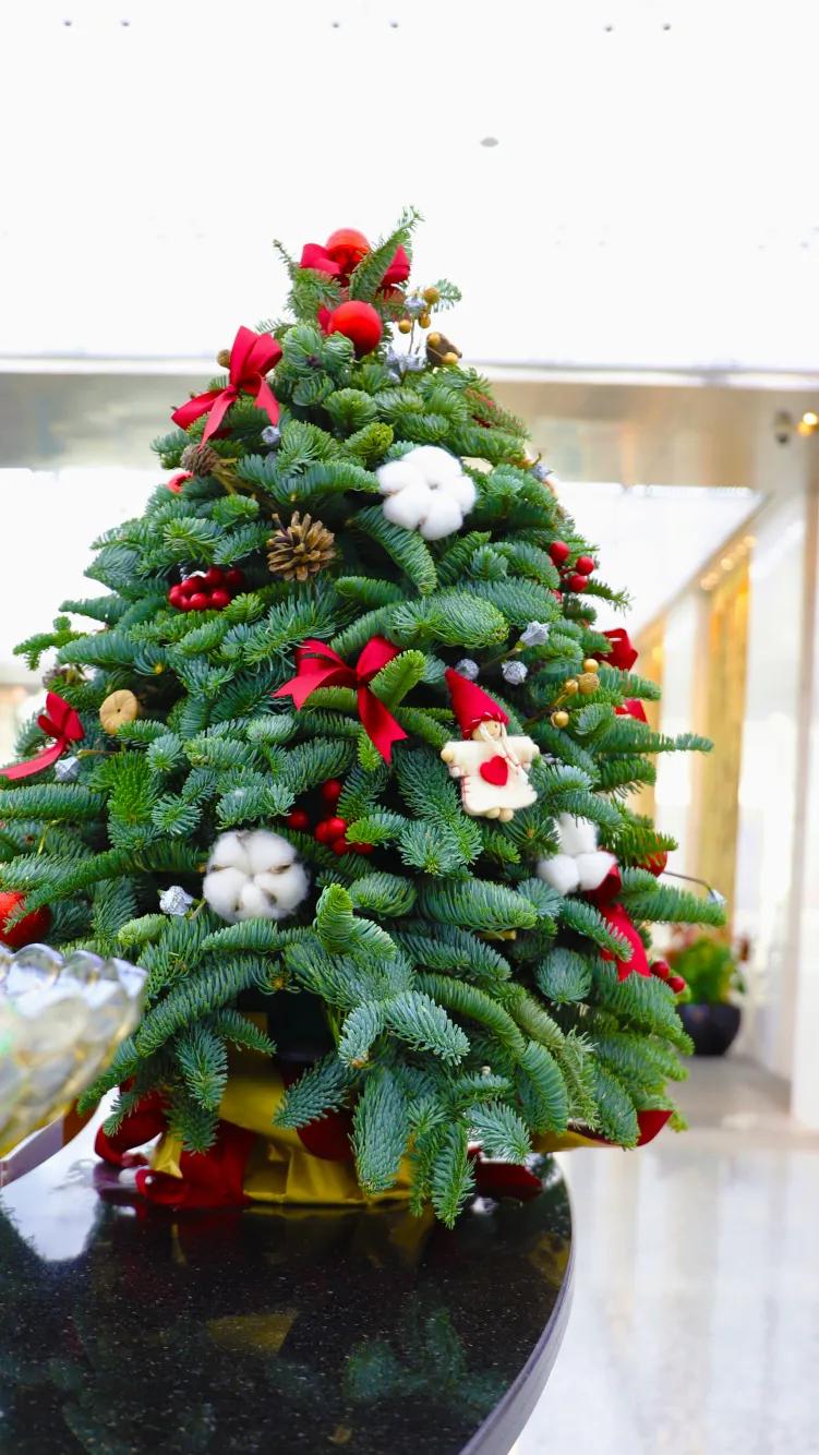 在高档写字楼上班是什么体验,高档写字楼办公体验