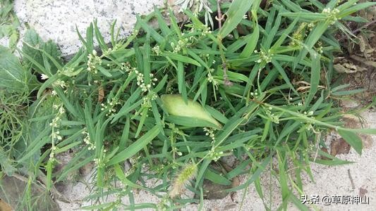 60年代农村小时候零食,80年代的农村小零食小卖部