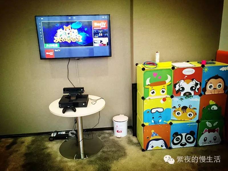 苏州带宠物去的古镇,苏州小众宠物乐园推荐