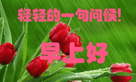 别人诋毁你说明你有能力语录,别人对你好是因为你有利用价值