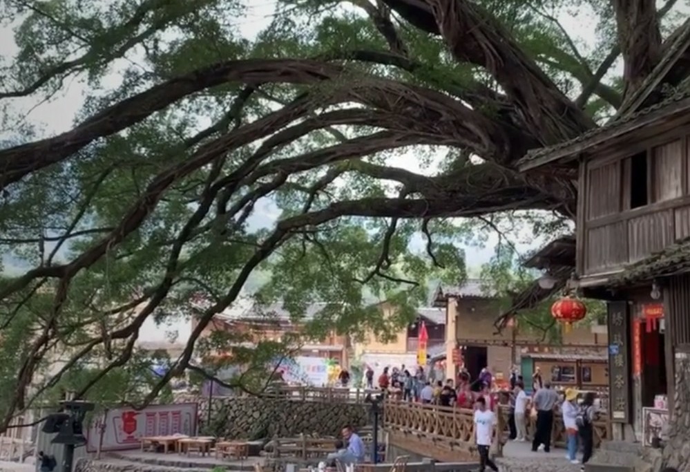 漳州南靖云水谣旅游攻略几公里,福建漳州南靖云水谣之旅