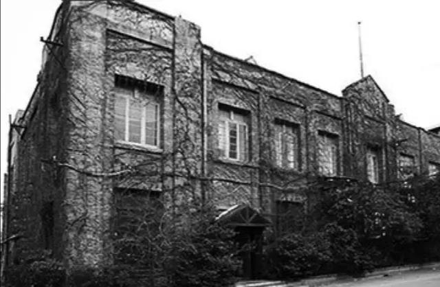 打底白t怎么选尺码,能够单穿一件打底白t吗