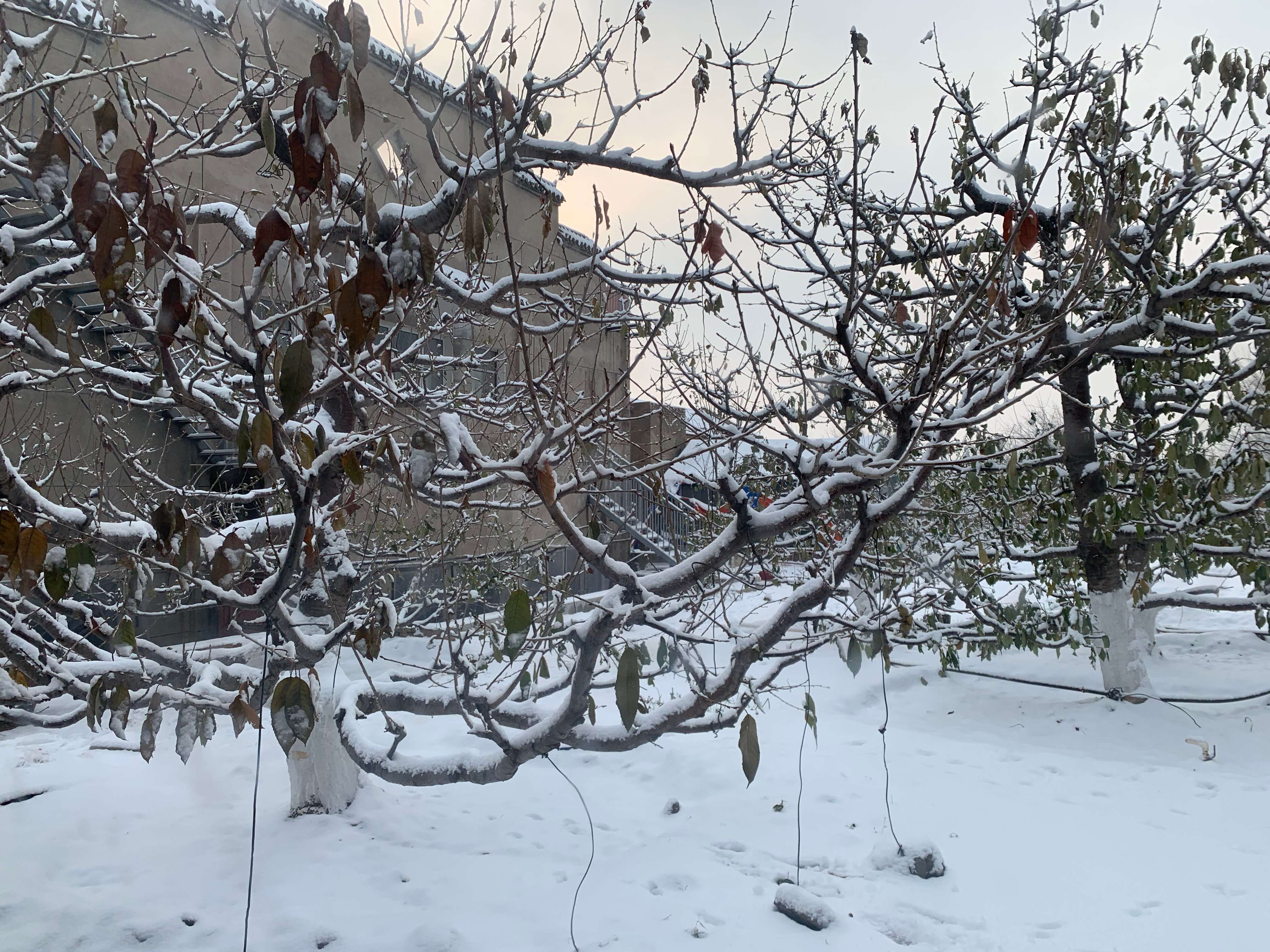 梦解红楼完全版,甄士隐梦幻通灵贾雨村
