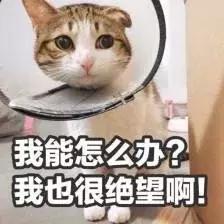 奈尔宝儿童乐园评价,奈尔宝儿童乐园攻略