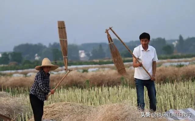 连枷 ，童年的记忆