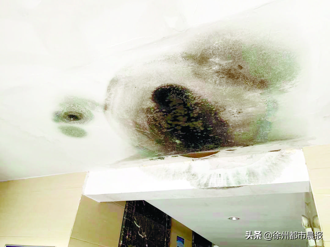 “地下室就像化粪池”！徐州这个小区3天换了3任物业经理，依旧搞不定