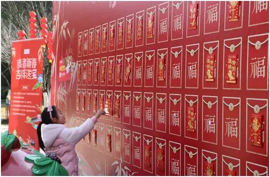 今天，我在宜兴竹海，过传统春节，沾福气满满！