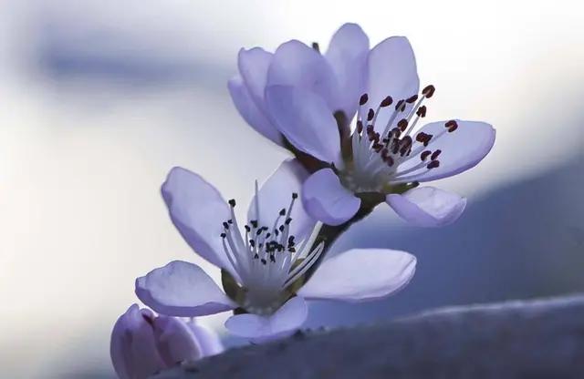 对联应掌握的90个知识点,对联知识点整理