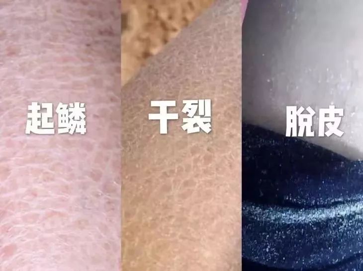 身体乳推荐秋冬留香,秋冬身体乳推荐