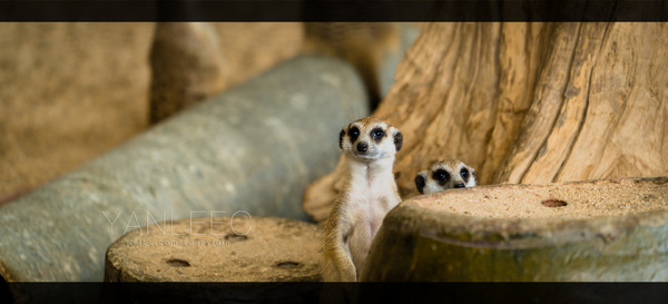 泰国旅游漫游,最新鲜玩转泰国攻略