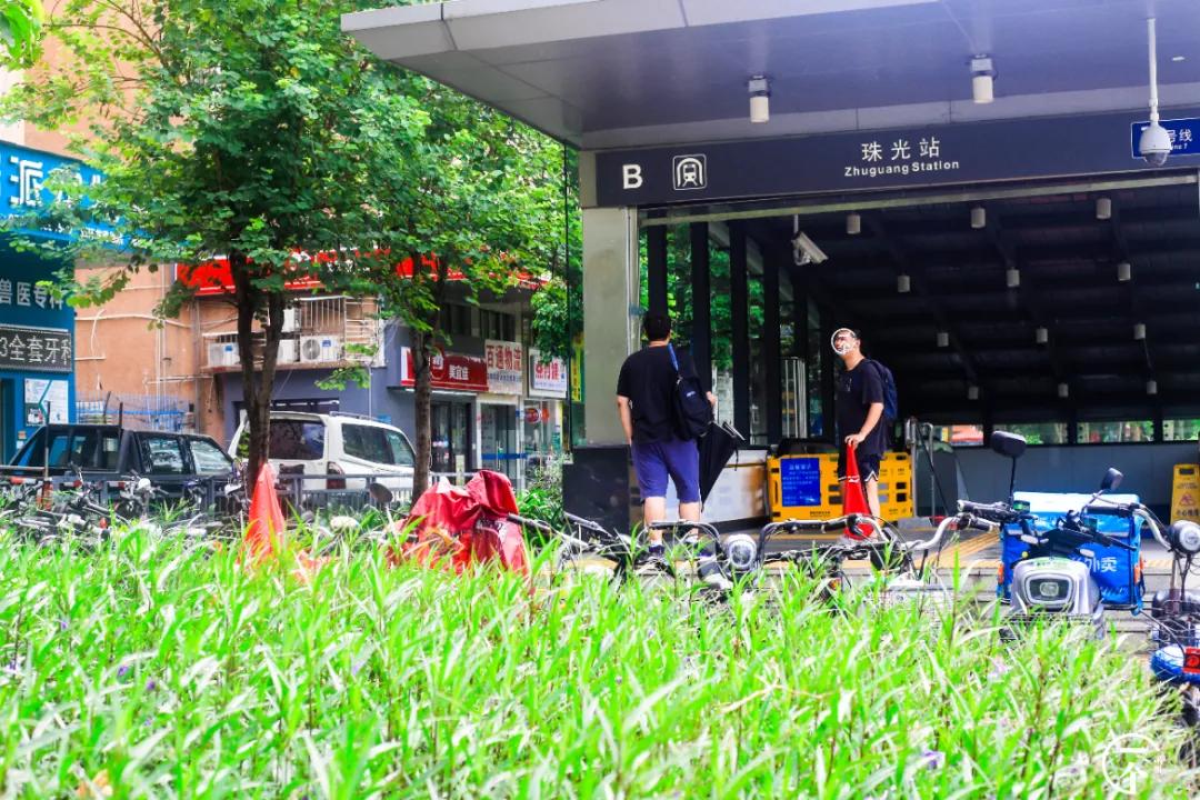 为啥珠光村房租便宜,深圳西丽珠光村房租如何