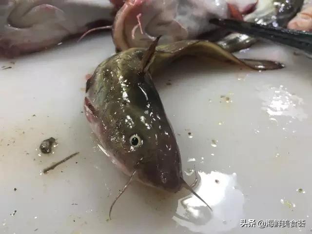 常见的鱼虾蟹等海鲜的认识,虾蟹类海鲜大全
