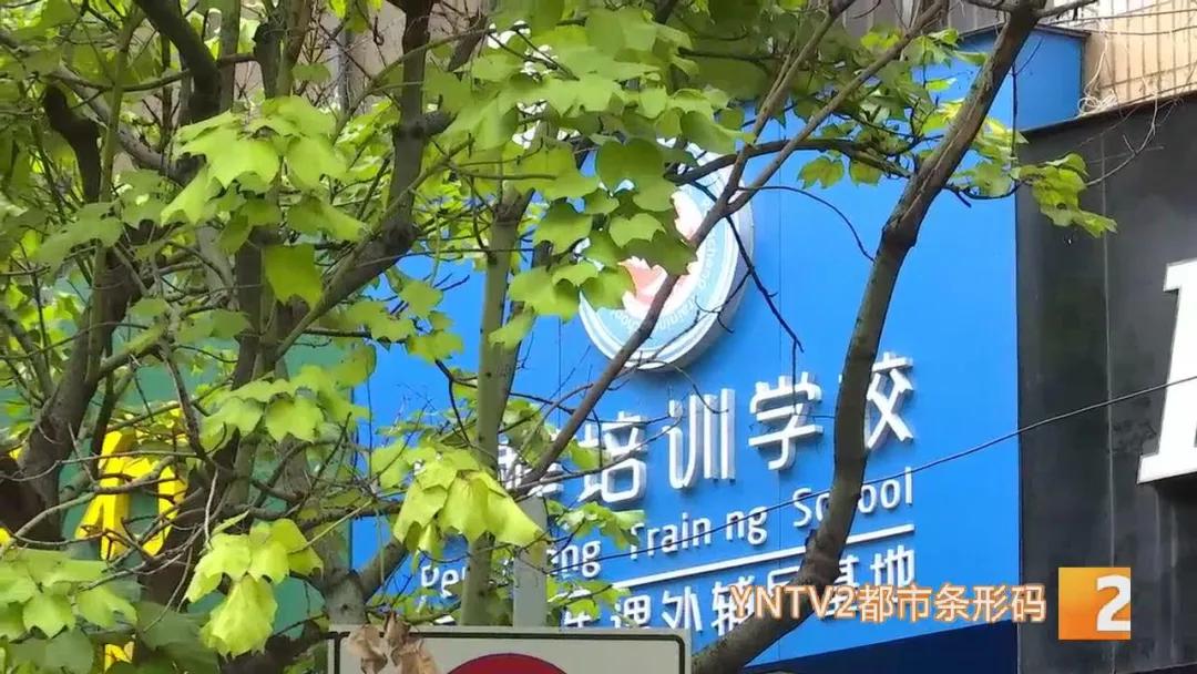 双减政策下的课后服务实施方案,双减政策鼓励培训机构课后托管