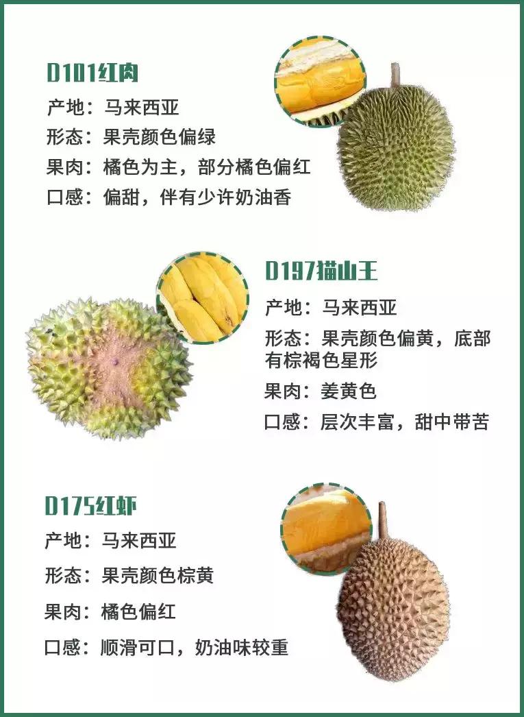 赌王派私人飞机买，蔡少芬怀孕也痴迷，凭啥它让*欲人**罢不能？