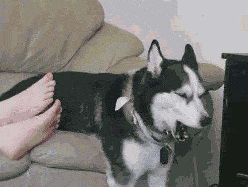 这颗风靡全世界的蛋，用着让人感觉好舒服