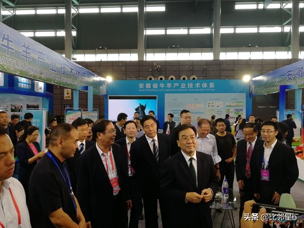 安徽这个普通二本很牛气，动物学院2020考研录取率39.24%