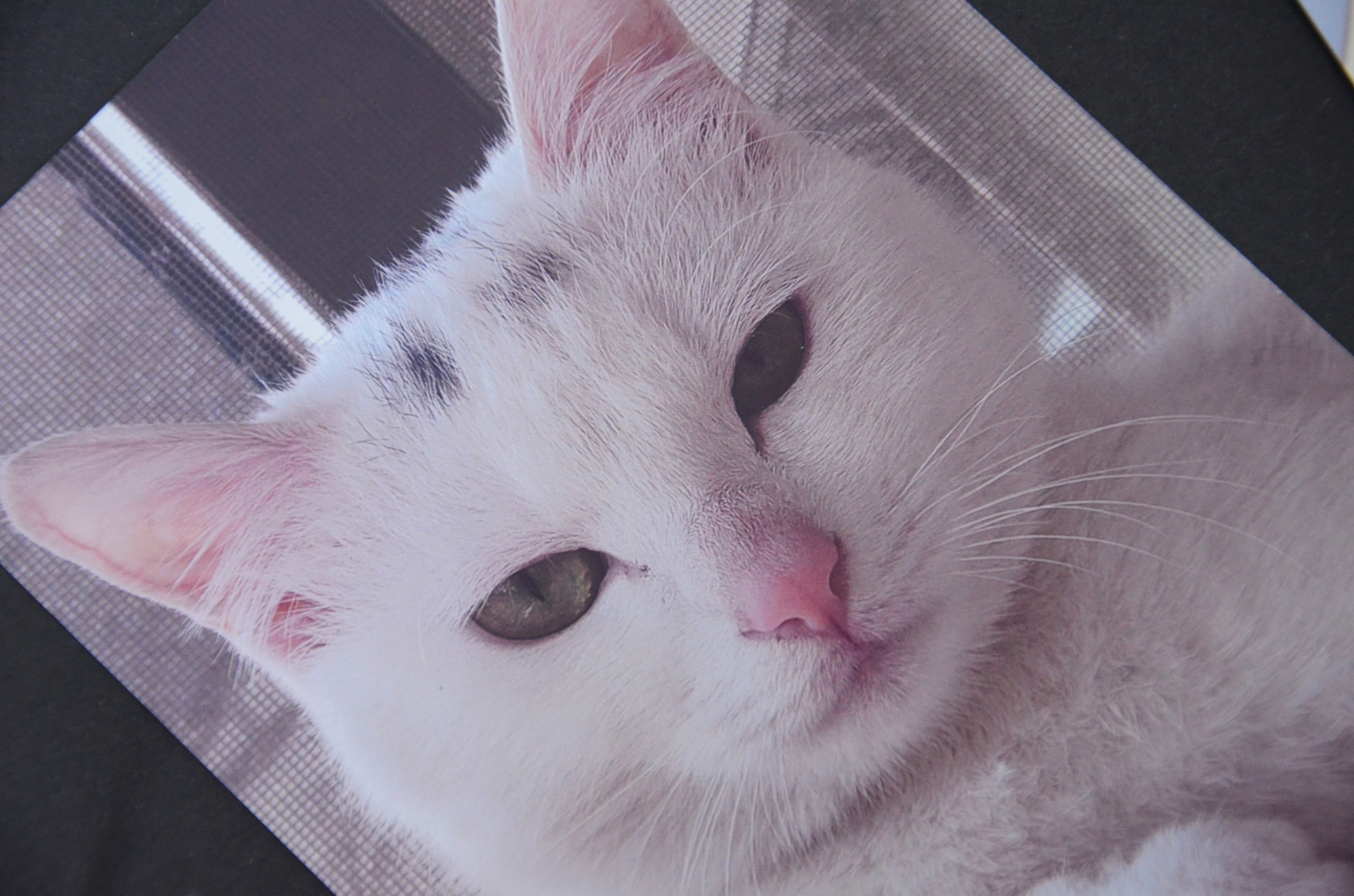 小米新款高效打印机,小米打印机最便宜的又实用