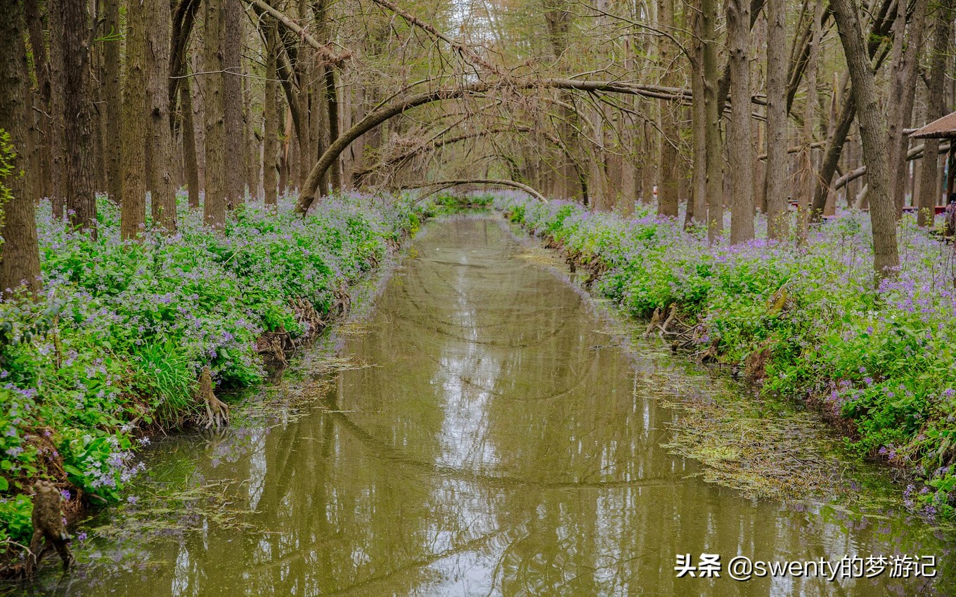 绿野仙踪越南完全版,隐藏在大山深处的绿野仙踪