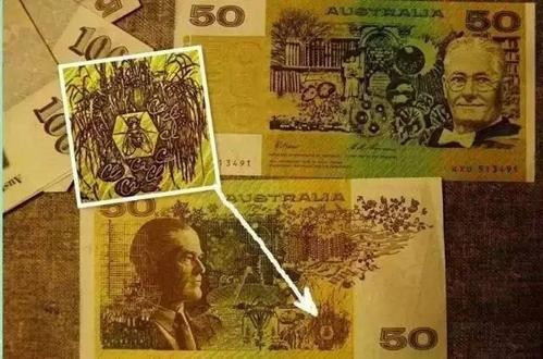 夏天开窗户怎样防苍蝇,夏天晒腊肉怎么防苍蝇