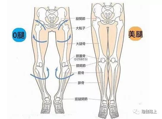o型腿合适的瑜伽体式,o型腿练瑜伽有用吗