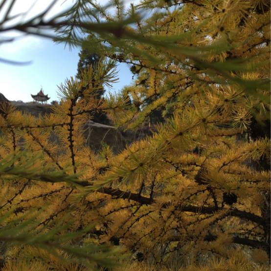 原创生活旅行,原创旅行作品
