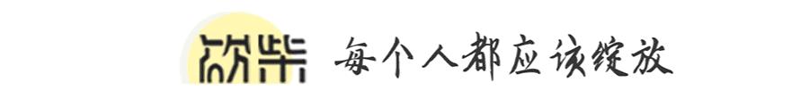 刘文典陈寅恪名言,刘文典讽刺沈从文只值4毛钱