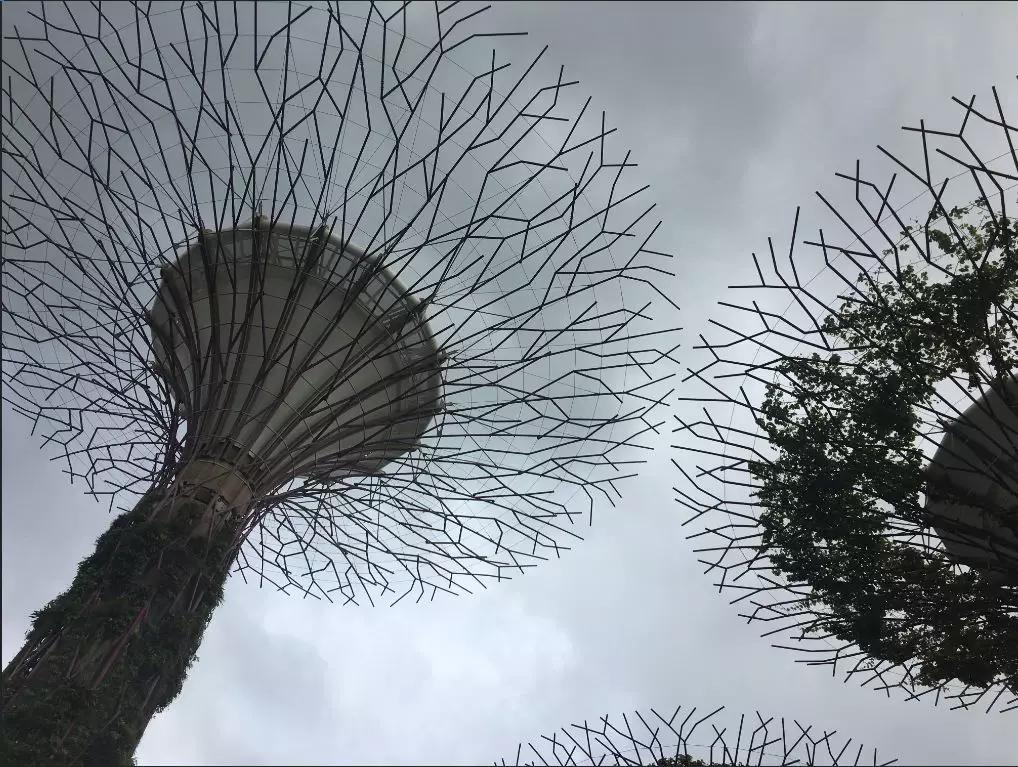 三字经里面三光三才三纲指的是,三字经里三纲者君臣义是什么意思